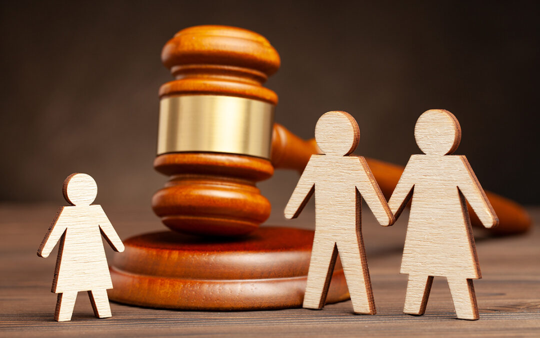 What You Should Know About Legal Guardianships